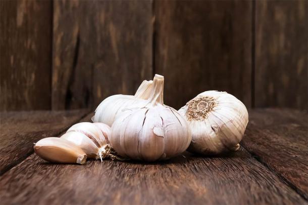 Bald’s eyesalve included everyday ingredients such as garlic and onions. (saran_poroong / Adobe Stock)