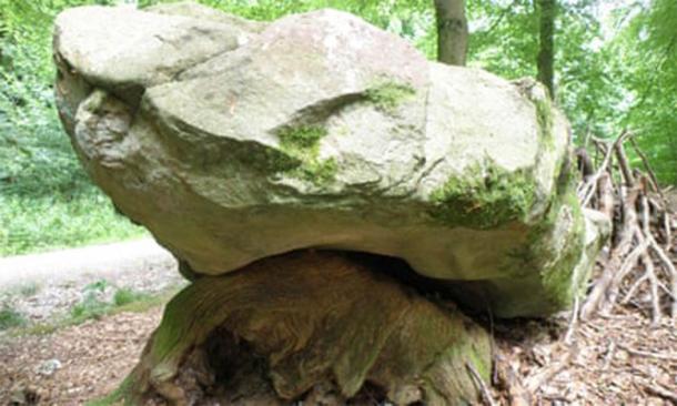 A large sarsen stone at West Woods, the probable source of most of the sarsens used to construct Stonehenge. (Image: Katy A Whitaker / University of Reading)