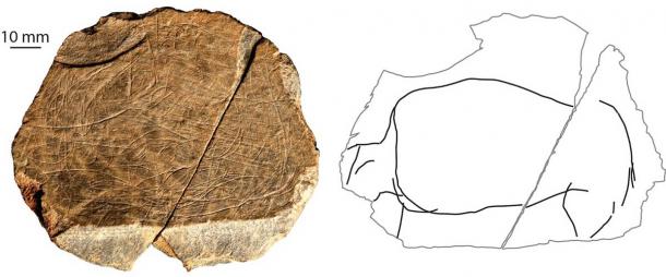 A “drawing” of a wild-cow animal found at the Jersey site. The right side of the image isolates the depiction of the animal, so that one can see it as an individual creature. (S Bello/ Natural History Museum)