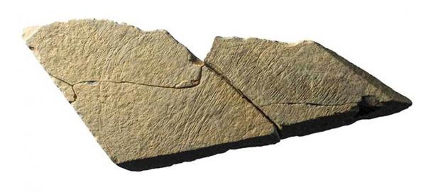 Another stone slab showing the characteristic geometric lines of the Magdalenians. (Natural History Museum)