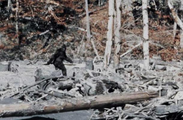 Bigfoot in the Patterson-Gimlin Film. 