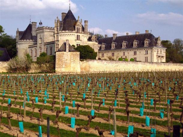 The famous vineyards of Château de Brézé. (98octane / CC BY-SA 3.0)