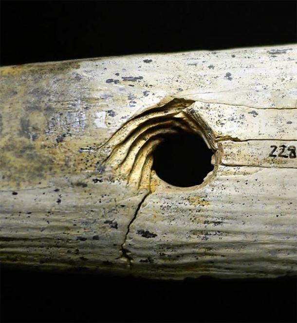 Close up of the mammoth bone rope making tool showing the precisely cut spiral incisions. (University of Tübingen)