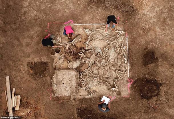 An aerial image of the center of the mysterious ancient German tomb showing remains of cattle and horses. (BILD)