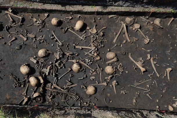 So far, bones from more than 100 individuals have been discovered on the battlefield. (©: Stefan Sauer / Tollense Valley Project)