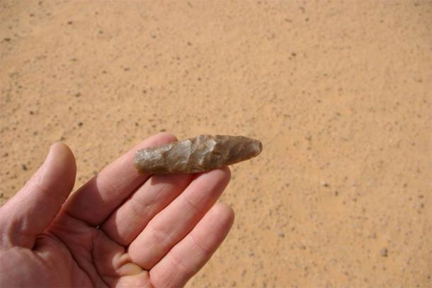 An Acheulean flint found in the Arabian Desert, not far from Tabuk. (Palaeodeserts)