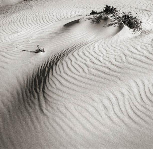 Sand dunes in the Negev desert today. (Alexandr Makarenko / Adobe Stock)