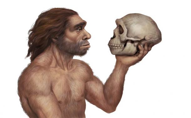 A Neanderthal man holding a Neanderthal's skull perhaps wondering how much of his DNA was from modern humans and Denisovans. Today, we are wondering the same thing! (Roni / Adobe Stock)