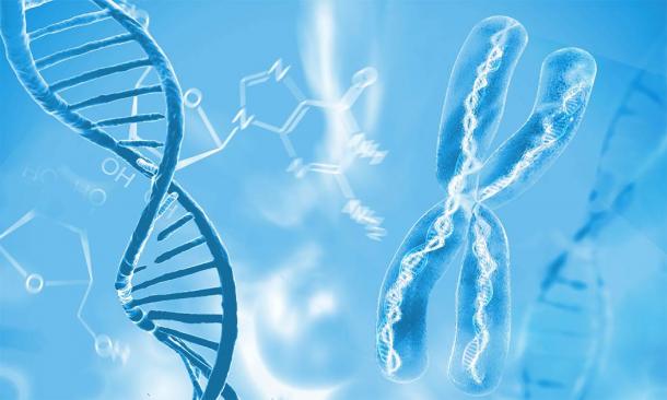 DNA double helix molecules and chromosomes: the forensic evidence that proves early human interbreeding and when. (Giovanni Cancemi / Adobe Stock)