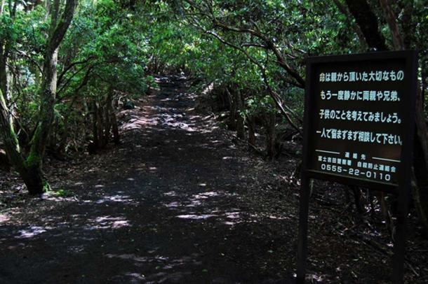 A sign pleads with visitors not to consider suicide as they enter the forest. 