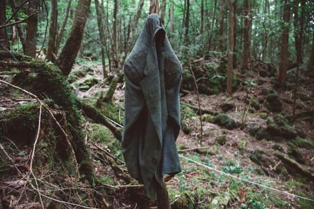The jacket of a suicide victim hangs on a branch in Aokigahara forest. Credit: Richard Atrero de Guzaman