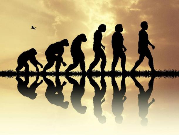 Origins Stories teaches us more about human evolution