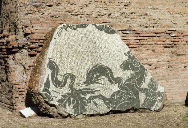 Caracalla mosaic, Rome, Italy (Pierrette Guertin / Adobe Stock)