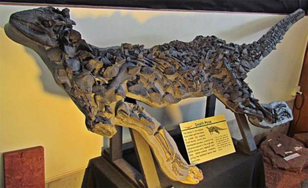 Replica of a Scelidosaurus skeleton. (FunkMonk/CC BY SA 2.0) The first complete dinosaur skeleton was a Scelidosaurus.