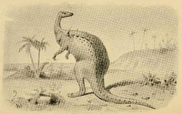 Bipedal Scelidosaurus illustration from 1896. (FunkMonk/CC BY 2.0)