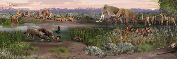 A paleontological landscape painting showing now-extinct Ice Age mammals that roamed the area of White Sands National Park during the end of the Last Ice Age, including mammoths, ground sloths, dire wolves, camelops and more. (Public domain)