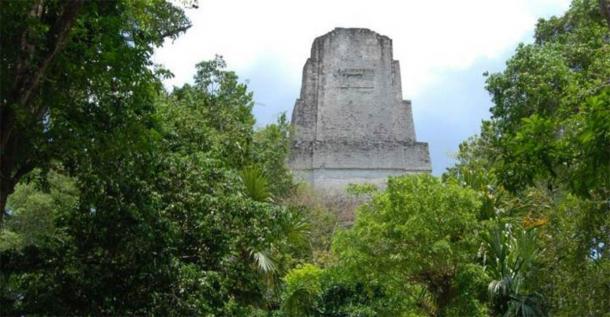 A temple rises above the rainforest at the ancient Maya city of Tikal. (David Lentz)