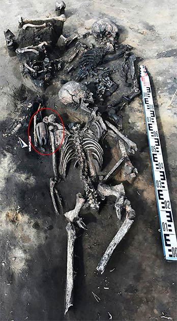 The masked figurine (circled) was found at the shoulder of a woman who was buried in a mass grave discovered in Western Siberia. (Novosibirsk Institute of Archeology and Ethnography/The Siberian Times)
