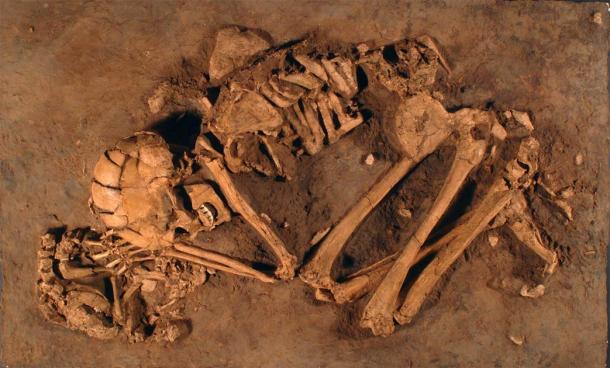 In northern Israel, archaeologists discovered the remains of a 12,000-year-old Natufian woman with her hand resting on a pet puppy, at the ‘Ain Mallaha site. This is one of the first known remains related to dog domestication. (The Israel Museum, Jerusalem)