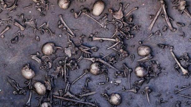The bones of the dead found at the Tollense battle site, which is now known to be Europe’s oldest massacre site. (State Office for Culture and Preservation Meckleburg-Vorpommern)