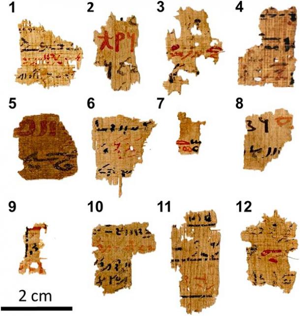 Visible light pictures of the 12 Egyptian writing samples with the sequential numbers assigned to them during the experiments written in bold. The papyrus fragments derive from larger manuscripts from the Tebtunis temple library that are inscribed with both red and black ink (T. Christiansen et al. / PNAS)