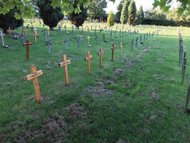 Wooden cross grave markers characteristic of the Buena Vista pet cemetery, Leicestershire. ( K. Bridger/Antiquity)