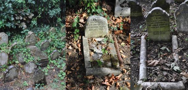 Example of the use of body stones, kerbs, and headstones to resemble the appearance of a bed in Hyde Park Pet Cemetery. (Photograph by E. Tourigny, taken with permission from The Royal Parks/Antiquity)