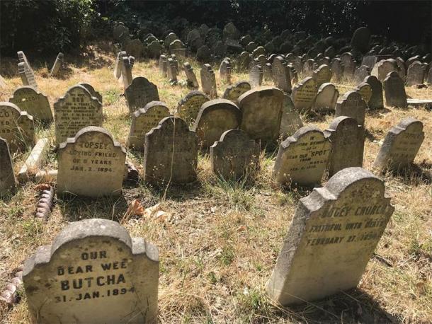 Surviving gravestones from Hyde Park Pet Cemetery. (photograph by E. Tourigny, taken with permission from The Royal Parks/Antiquity)