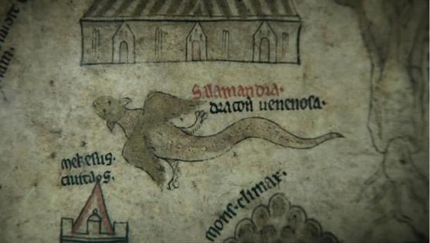 A winged salamander seems to fly its way across the Hereford Mappa Mundi.