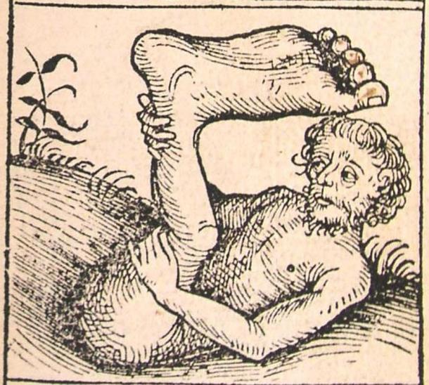 A Monoculi, as depicted in the Nuremberg Chronicle, 1493.