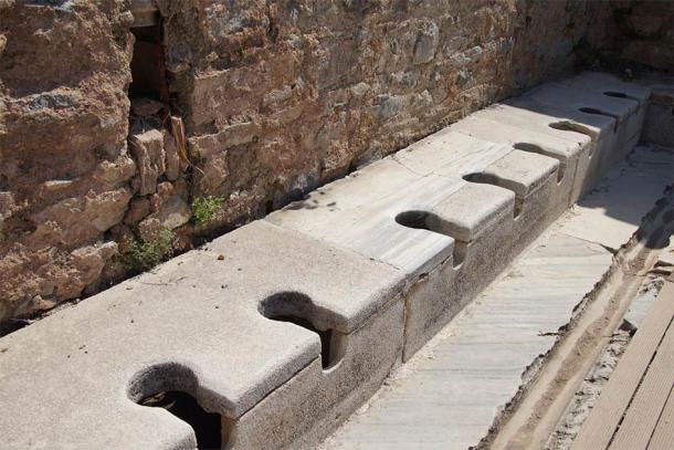 An ancient public toilet from early Roman times, which would have been an excellent source of medieval gut bacteria. Source: cascoly2 / Adobe Stock