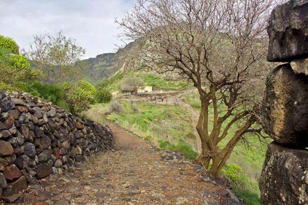 An ancient road to the ruins in Gamla, Israel, where artifacts were stolen that were later reported as cursed and returned. (Robert / Adobe Stock)