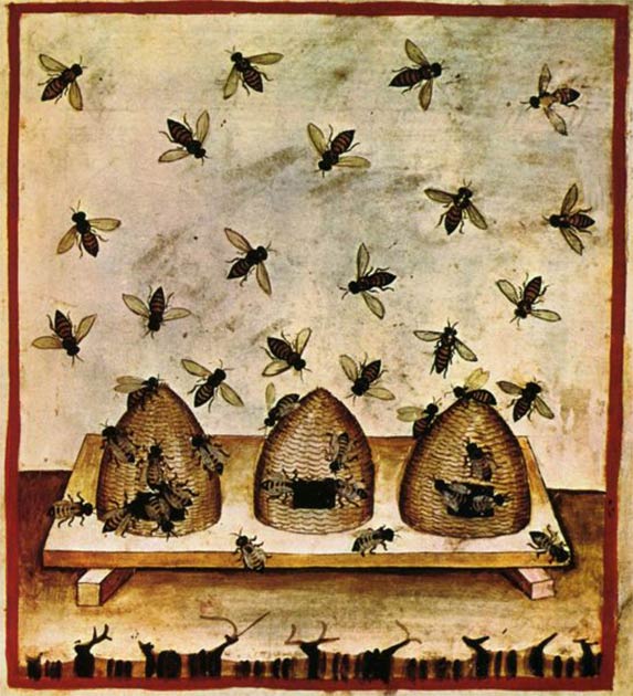 Beekeeping as depicted in the Tacuinum Sanitatis, an Arab medical text by Ibn Butlan of Baghdad, describing the benefits and harmful effects of different foods and plants. (Public domain)
