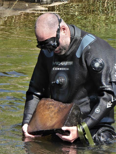 Bob Armstrong, from Wessex Archaeology Coastal and Marine Team, as he retrieves a sample of bridge timber from the river. The ADHS team warns that the remains of the medieval bridge are under threat. (ADHS)