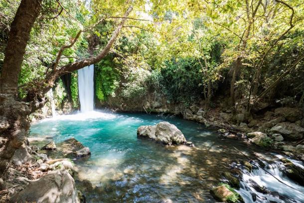 The Nature and Parks Authority, who runs the Banias Nature Reserve, hopes that the discovery will attract more tourists to the area, which is also known for its gorgeous waterfall. (LevT / Adobe Stock)