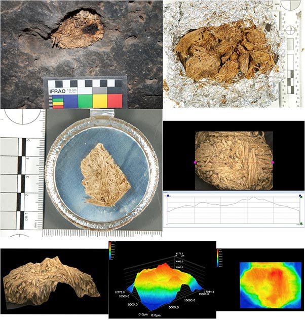 Archaeologists recovered artifacts including arrowheads, tools, and food scraps at the Pinwheel Cave, alongside chewed remnants of quids (plant materials) in the cracks of the cave ceiling. Analysis of these quids confirmed they contain sacred datura. (Robinson et. al / PNAS)