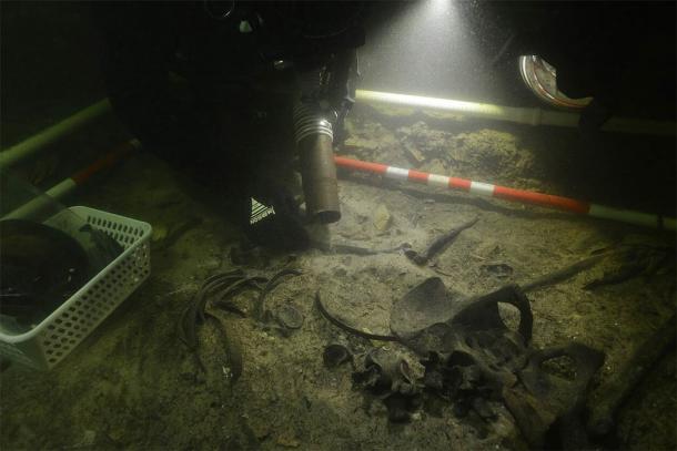 Recovering the medieval soldier’s remains from Lake Asveja. (G. Krakauskas)