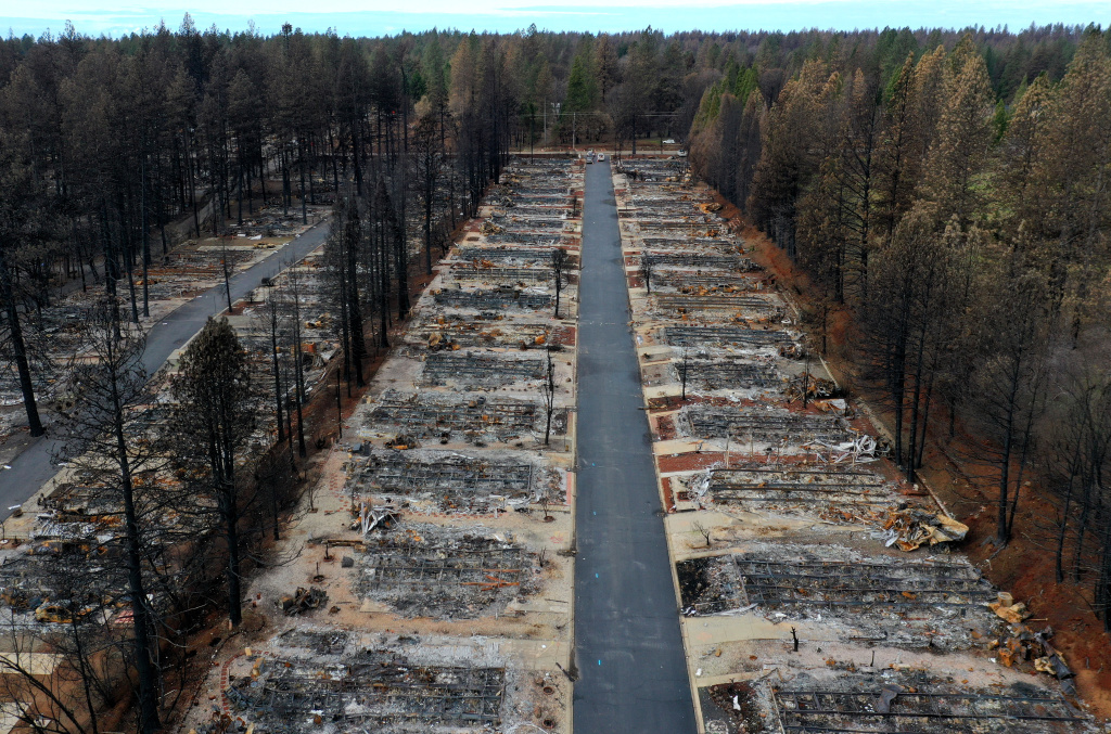 rows of burnt out houses but not trees next to them