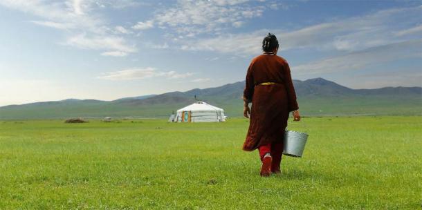 Farmer carrying a bucket of milk after milking a cow in the grasslands of Mongolia. (MICHEL /Adobe Stock)