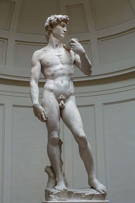 Michelangelo's David, 1501-1504, Galleria dell'Accademia (Florence).