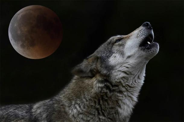 A wolf howling at full moon: wolves formed a key part of Slavic mythology and beliefs. These beliefs were then “hijacked” by Christianity and turned into something else. (bennytrapp / Adobe Stock)