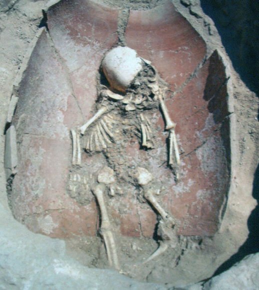 Example of a baby skeleton found in a jar burial in Ashkelon, Israel. (B. Doak)