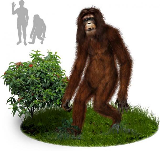 An artist's impression of what an Orang Pendek little person might look like, which in this case is more primate that humanoid. (Tim Bertelink / CC BY-SA 4.0)