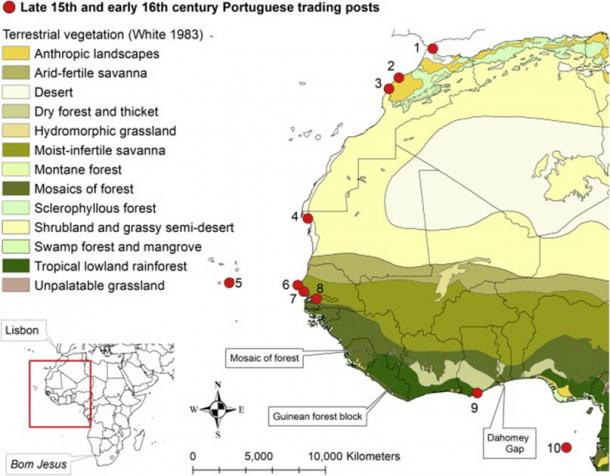 Terrestrial vegetation and Portuguese trading posts in the late 15th and early 16th century. (de Flamingh et al./ Current Biology 2020)