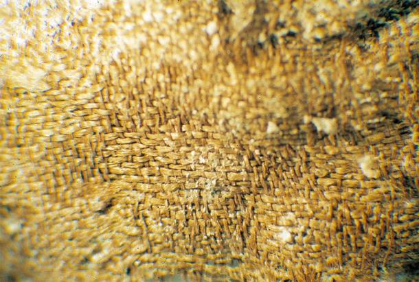 A magnified view of the silk damask worn by the Spitalfields Roman woman. (MOLA)