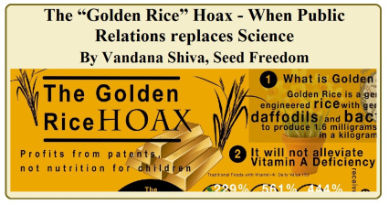 The “Golden Rice” Hoax’ - When Public Relations replaces Science by Vandana Shiva (Seed Freedom, republished in blog)
