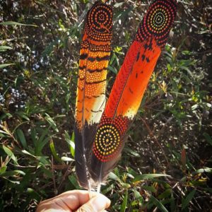 nathan patterson aboriginal feathers