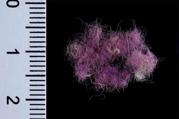 Wool fibers dyed with Royal Purple,~1000 BC, Timna Valley, Israel. (Dafna Gazit, courtesy of the Israel Antiquities Authority)