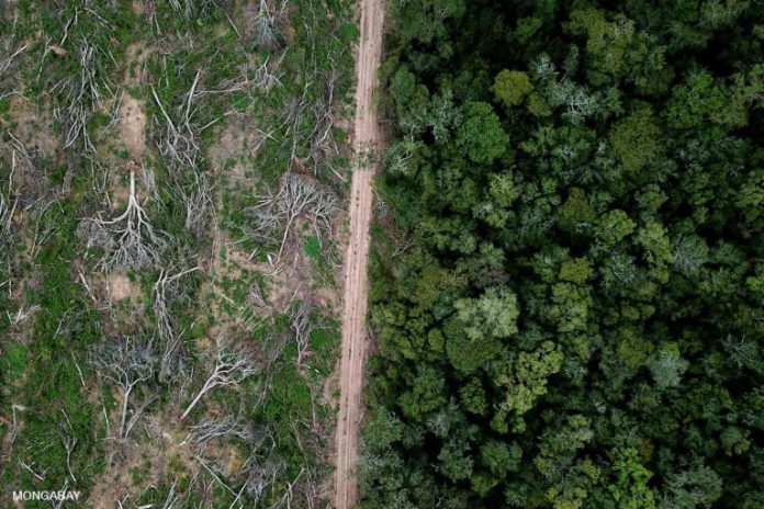 Drone view of Chiquitano forest Deforestation in the Bolivian Amazon for soy production. Photo credit: Rhett A. Butler for Mongabay.