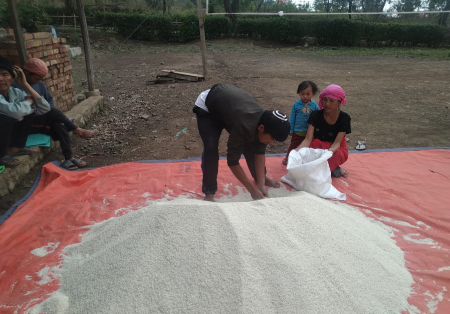 A Mound of rice being readied for distribution. A staple of the Bnei Menashe diet, families also received lentils, cooking oil and sugar